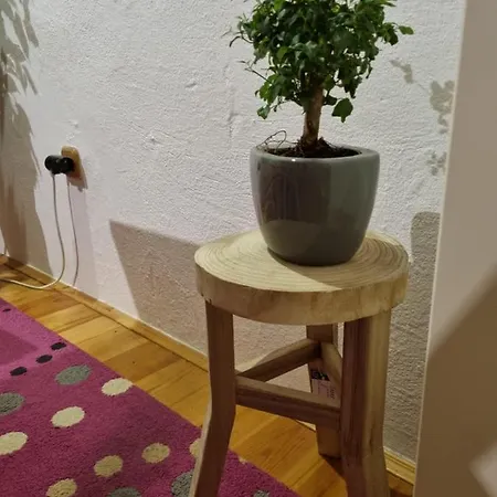 Privatunterkunft Martin's House *
